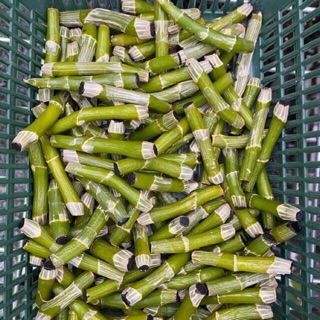 Mắt ngủ ám mắt đỏ đông lai tân lạc