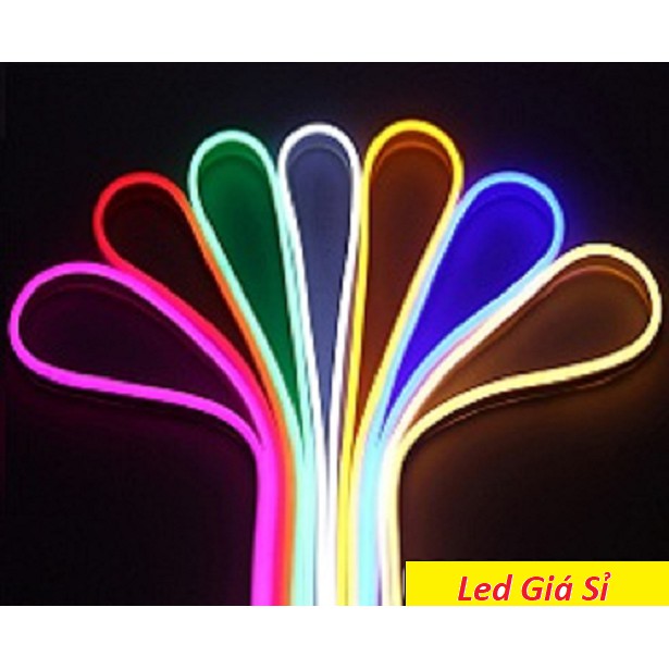 Dây đèn LED Neon 12v cuộn 5m