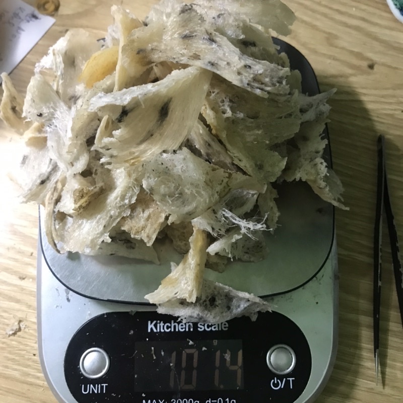 Chân tổ yến ít lông  loại 1 , yến thô nha trang, khánh hoà 100g+🎁🎁🎁