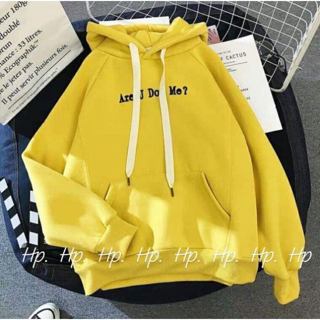 CHUYÊN SỈ Áo Are U Dou Me? Hoodie