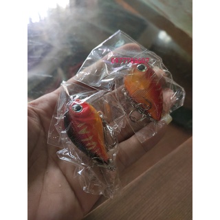 Mồi Câu Cá (Cá Voi Lưng Gù)