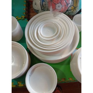Đĩa nhựa lót đáy chậu trồng cây phi 35cm