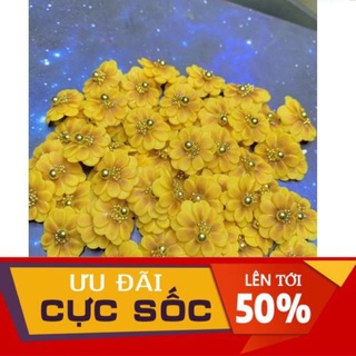 hoa hướng dương