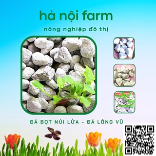 Đá bọt núi lửa, Đá lông vũ  - Đá giữ ẩm size 1-2 - túi 5dm
