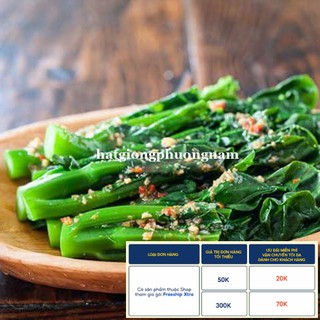 5GR - HẠT GIỐNG RAU CẢI RỔ