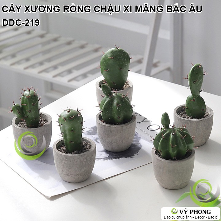 CÂY XƯƠNG RỒNG CHẬU SEN ĐÁ MÔ PHỎNG CHẬU XI MĂNG NORDIC BẮC ÂU TRANG TRÍ ĐẠO CỤ CHỤP ẢNH SẢN PHẨM INS DDC-219