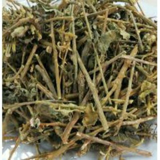 sỉ lẻ cây cà gai leo khô 500g - 1kg