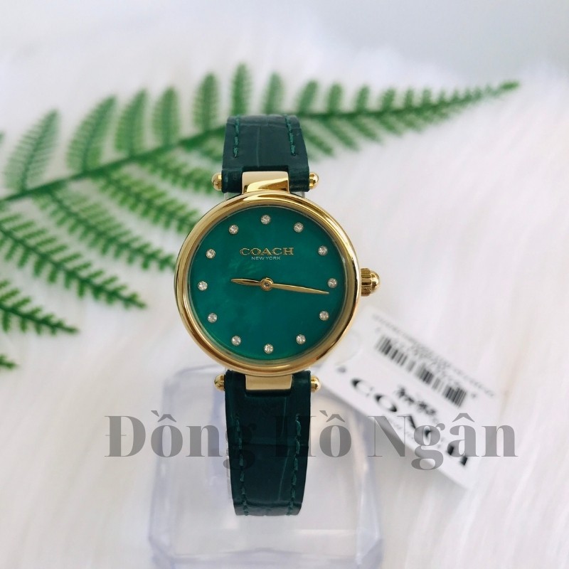 Đồng hồ nữ Authentic - Đồng hồ nữ Coach NNDH01 dây da size 26mm