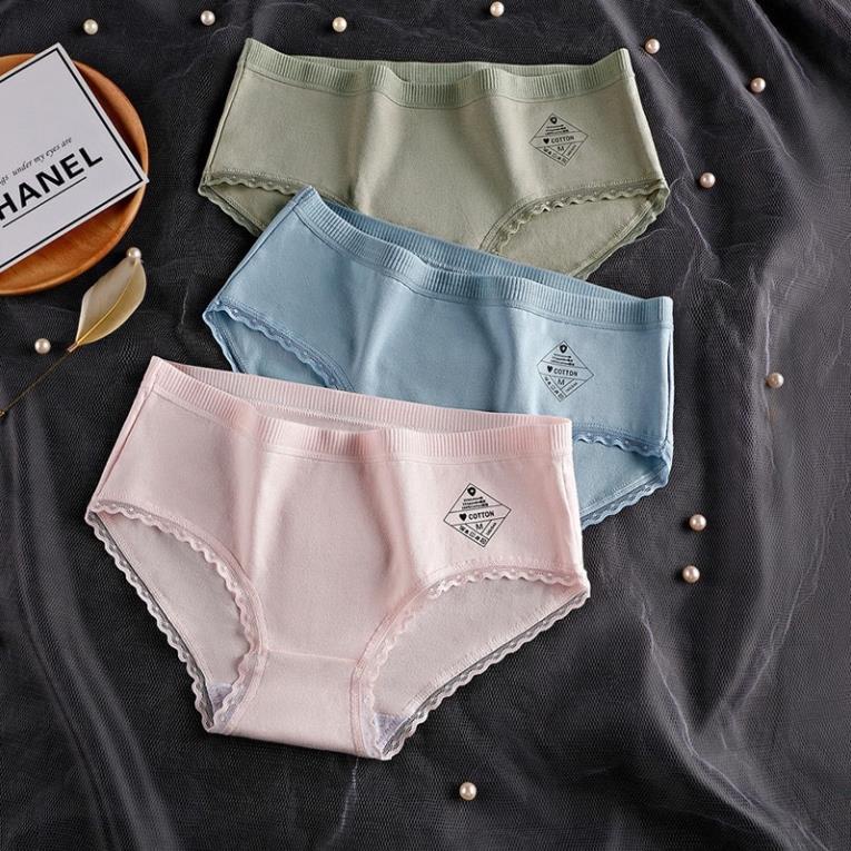 [Giá sỉ] Set 10 Quần Lót Cotton Cao Cấp Viền Ren Cạp Sọc
