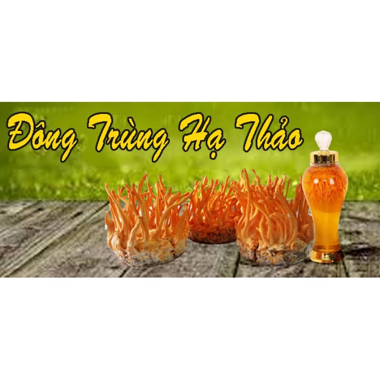 Trà Đông Trùng Hạ Thảo Hogi Bổ Thận Tráng Dương, Nâng Cao Sức Đề Kháng 15g DT013