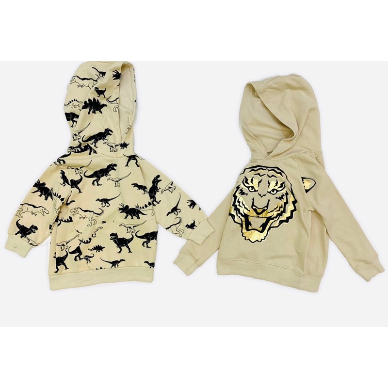 Áo nỉ hoodie HM