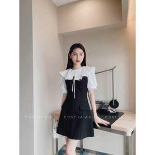 Váy đen hàn pha cổ trắng tiểu thư C'est la vie