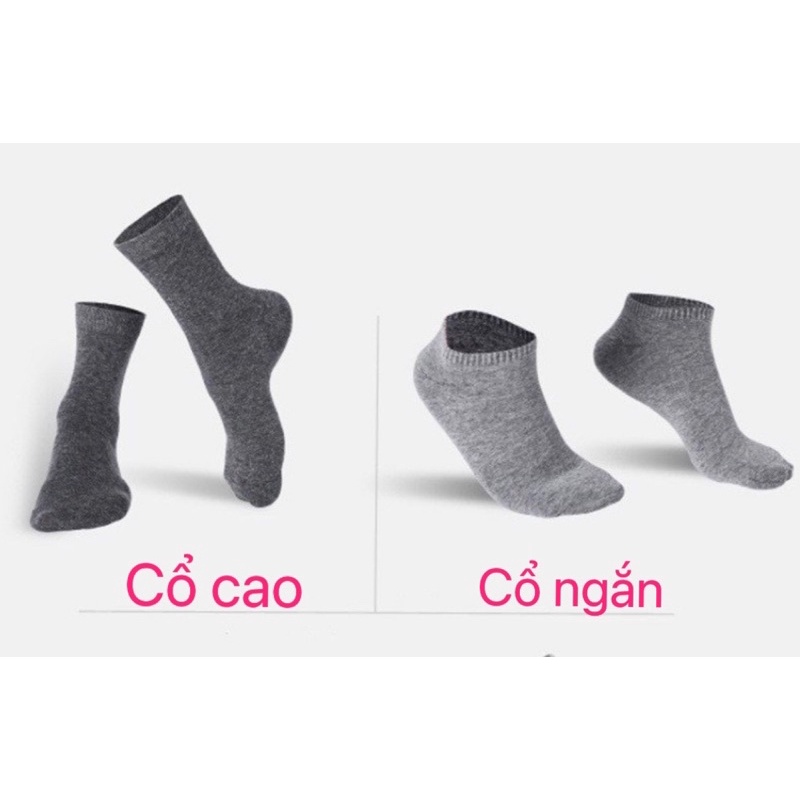 Hộp 10 đôi tất vớ nam nữ Unisex khử mùi chống hôi chân Hàng xuất Nhật