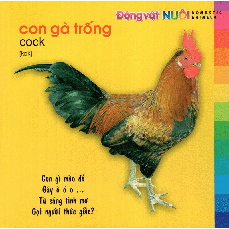 Sách: Bé Khám Phá Môi Trường Xung Quanh - Phân Loại Tùy Chọn