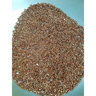Trà Đậu đen + Đậu đỏ + Gạo lứt