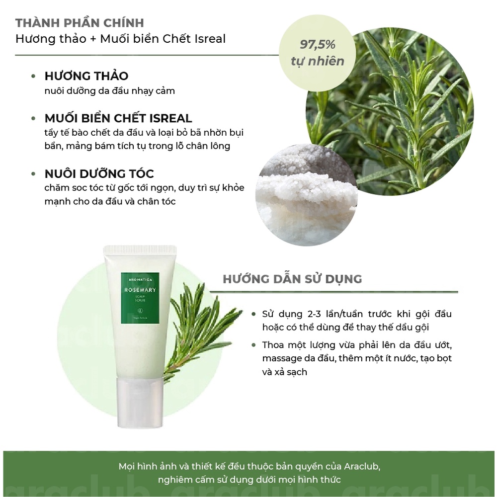 Kem Tẩy Tế bào Chết Da Đầu Chiết Xuất Hương Thảo Aromatica Rosemary Scalp Scrub 165g