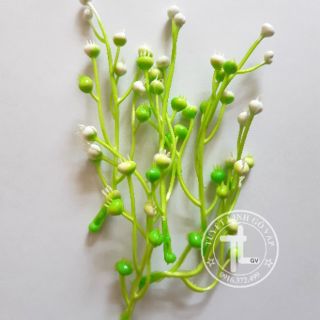 5 bịch hoa cỏ nhí trang trí  100k