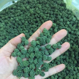 [200G] Nụ hoa tam thất Lai Châu