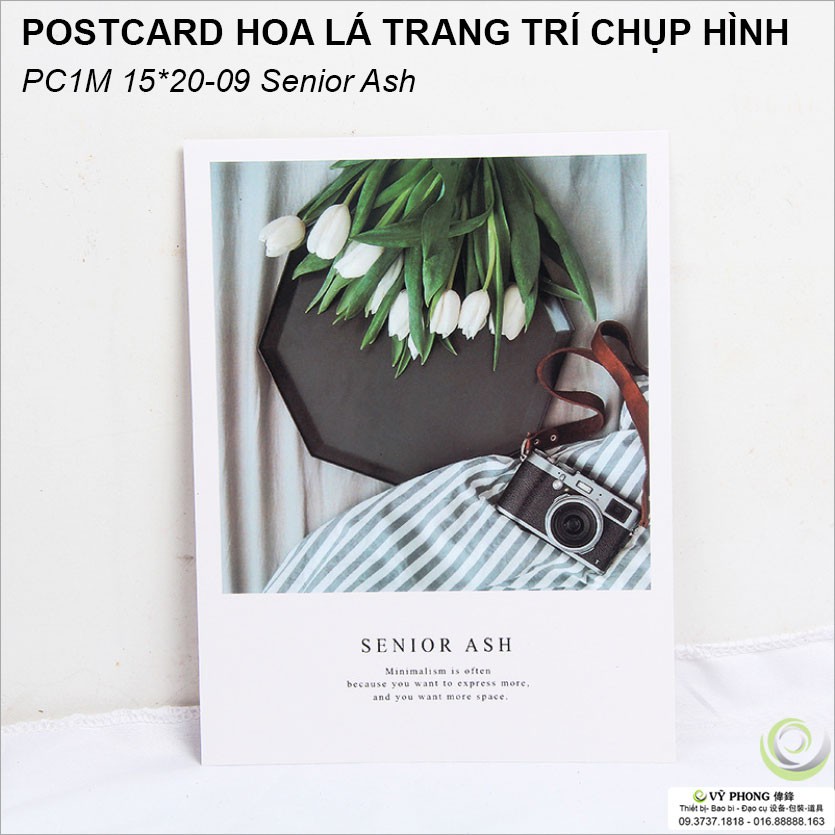 THIỆP CHỤP ẢNH POSTER 1 MẶT 15x20cm Phụ Kiện Trang Trí Chụp Ảnh Sản Phẩm PC1M15x20-01~9