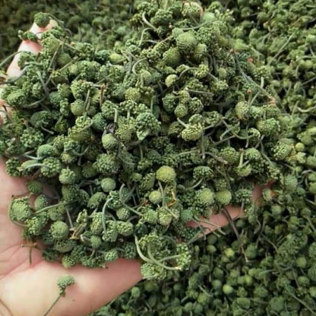 Nụ Hoa Tam Thất 500gr (Nụ Bao Tử)