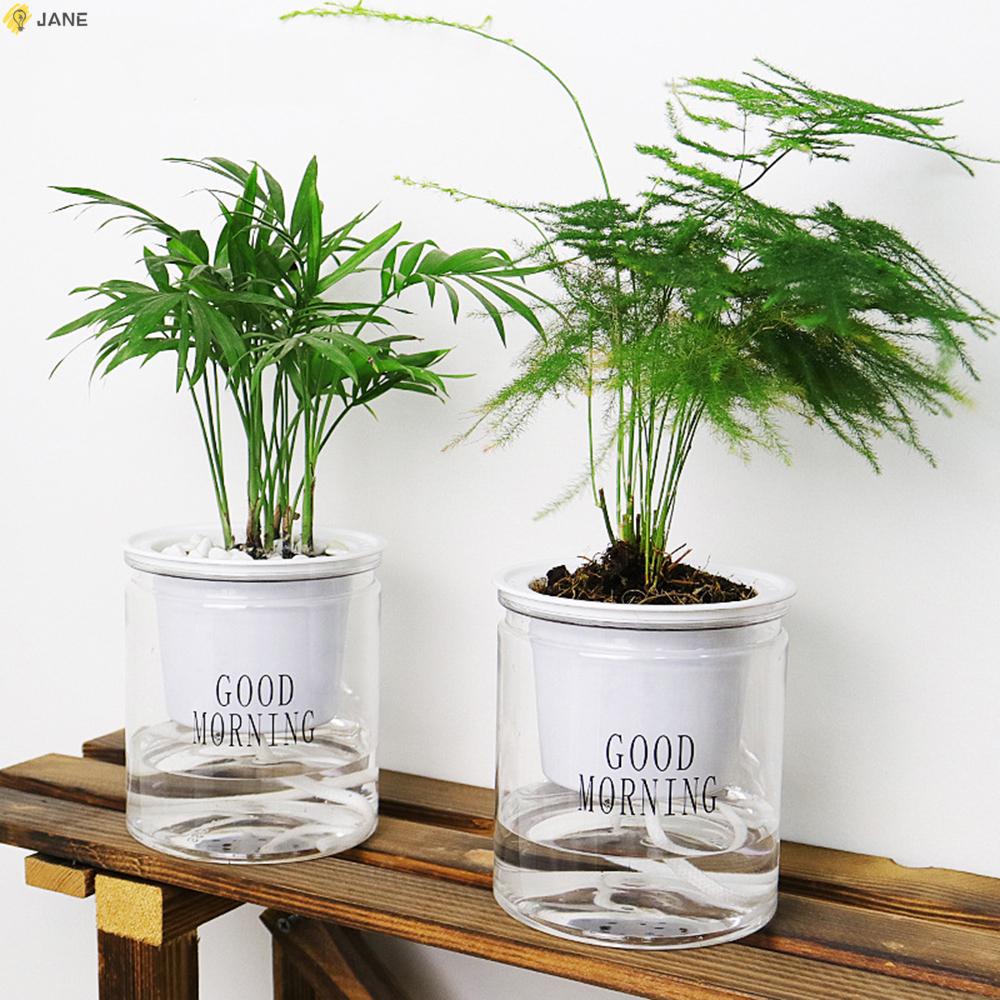 Chậu Cây Bằng Nhựa Trong Suốt Thiết Kế Hút Nước Tự Động