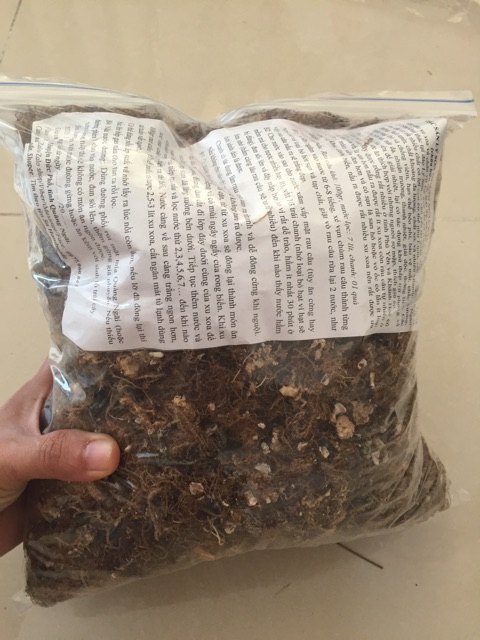 1KG RONG BIỂN RAU CÂU XU XOA LÝ SƠN LOẠI 1 ÍT SẠN QUẢNG NGÃI HOÀN TOÀN TỪ THIÊN NHIÊN