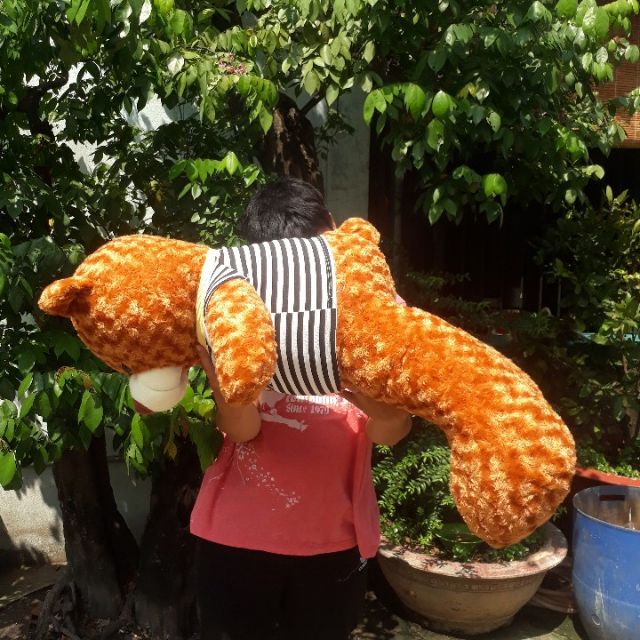 GẤU TEDDY NHỒI BÔNG CAO 108Cm