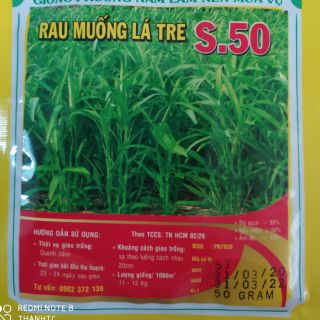 Hạt giống rau muống lá tre