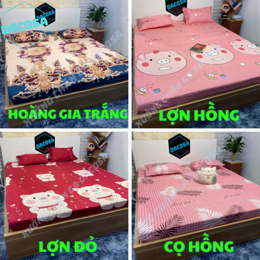 Ga giường đẹp miễn phí bo chun kèm 2 vỏ gối cao cấp giá rẻ | BigBuy360 - bigbuy360.vn