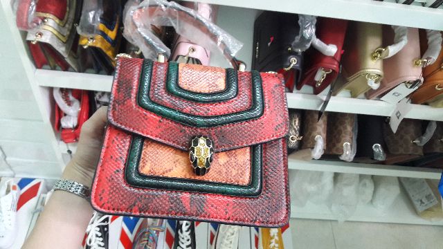 Túi BLV đầu rắn