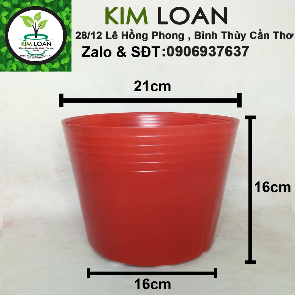 Combo 100 chậu nhựa mềm C9 21x16cm dày và bền