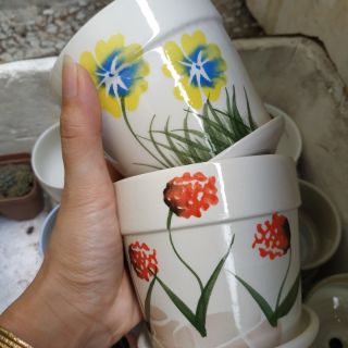 Chậu sứ trồng cây có đĩa lót
