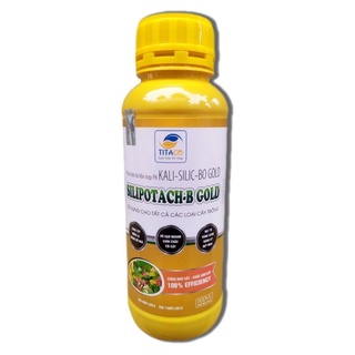 Silipotach-b-gold phân bón lá hỗn hợp kali-silic-b-gold