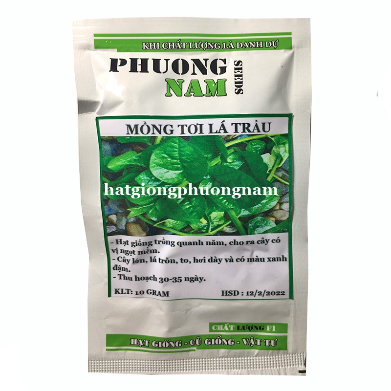  10GR - HẠT GIỐNG RAU MỒNG TƠI