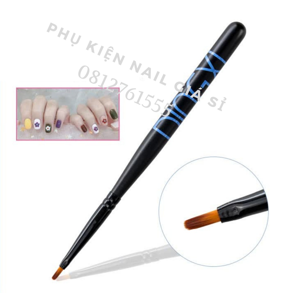 Cọ hoa cúc , Cọ vẽ hoa cúc dingxi nhật