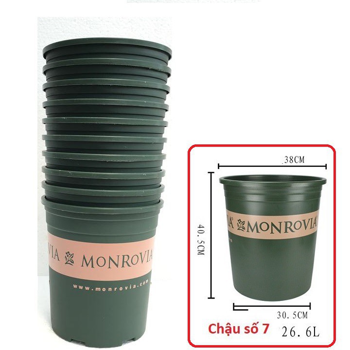 Bán buôn, bán lẻ - Set 2 chậu nhựa trồng cây cao cấp Monrovia cỡ số 7 xuất xứ Trung Quốc tại thietbinhavuon_chất lượng.
