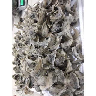 Tnk113 yến sào thô tổ khánh hòa