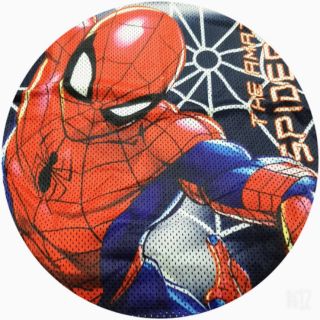 Bộ Siêu Nhân Nhện có cánh