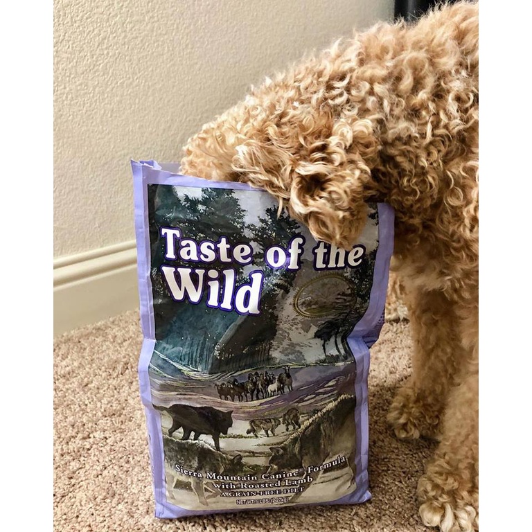 Thức Ăn Cho Chó Poodle, Taste Of The Wild Bao 2kg - Thức Ăn Cho Chó,  Vị Thịt Cừu Rau Củ Quả Và Trái Cây