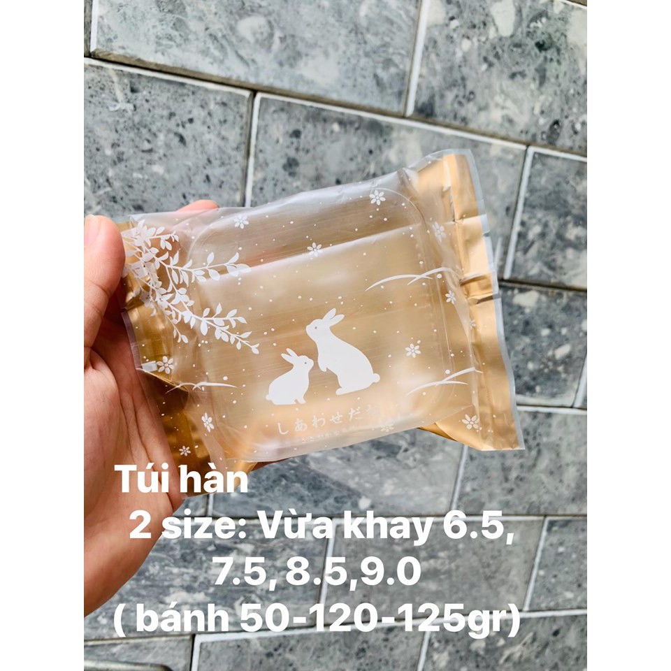 Túi hàn 8.5 đựng bánh 100gr -125gr