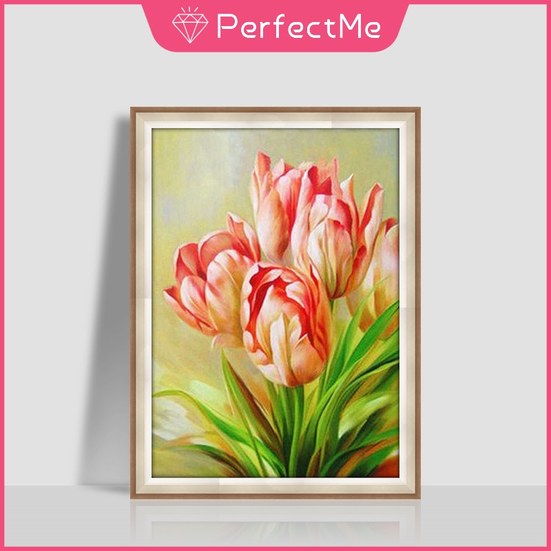 Bộ Tranh Đính Đá 5d Tự Làm 30x40cm Hình Hoa Tulip Trang Trí Nhà Cửa
