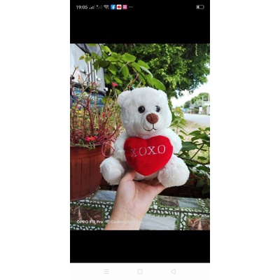 Gấu bông teddy gói quà 20/10