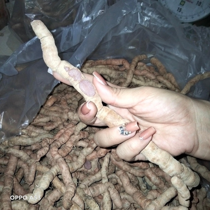 Ba kích tím tươi 1kg