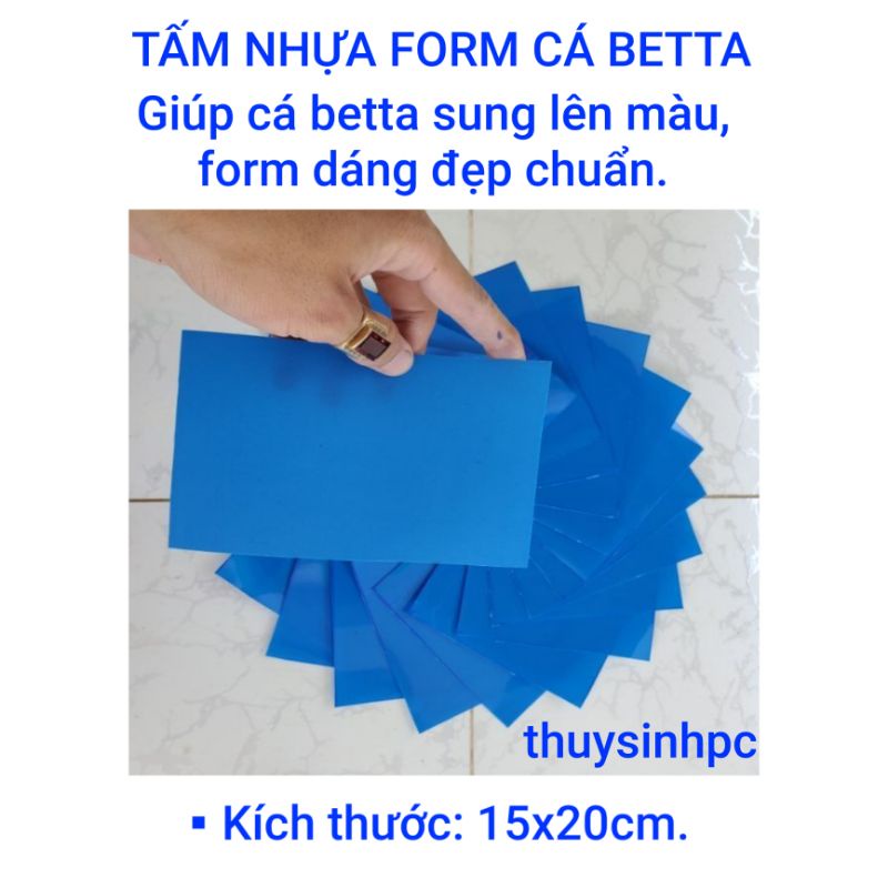 Tấm nhựa che cá betta size 15x20cm ngăn cá giúp cá sung