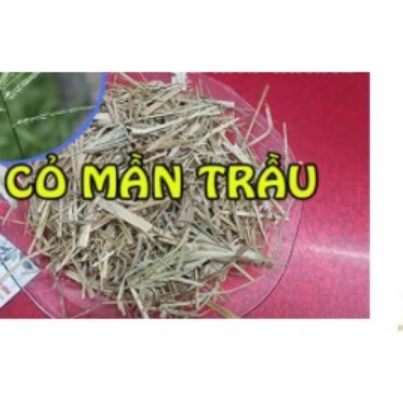 1kg cỏ mần trầu gội đầu, Thanh lọc cơ thể, đẹp da