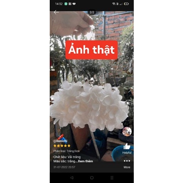 Ví dự tiệc clutch hoa A10