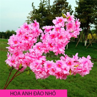 Hoa Giả Hoa Lụa Hoa Anh Đào