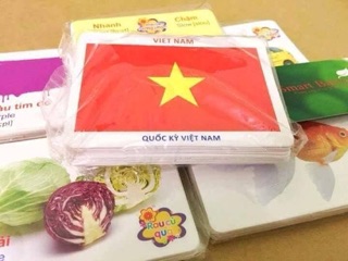 Bộ thẻ học 16 chủ đề (416 thẻ)