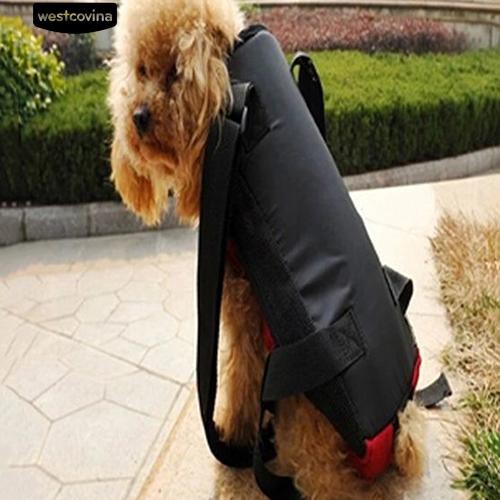 Balo Canvas Đeo Chéo Cho Thú Cưng