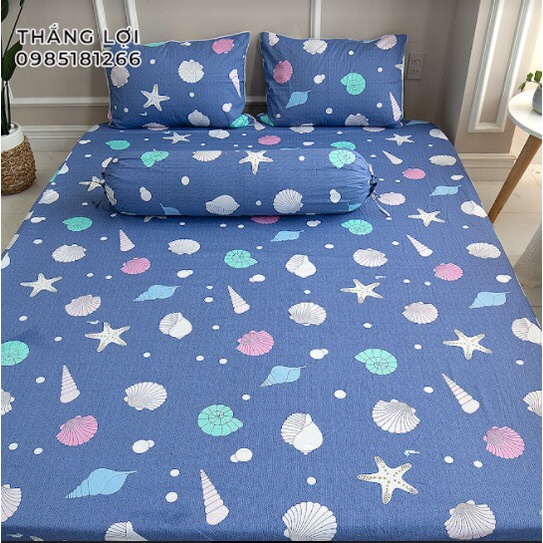 Drap Cotton 100% Thắng Lợi chính hãng Mẫu SÒ ỐC BIỂN IN LOGO THẮNG LỢI vệ sinh dễ dàng.